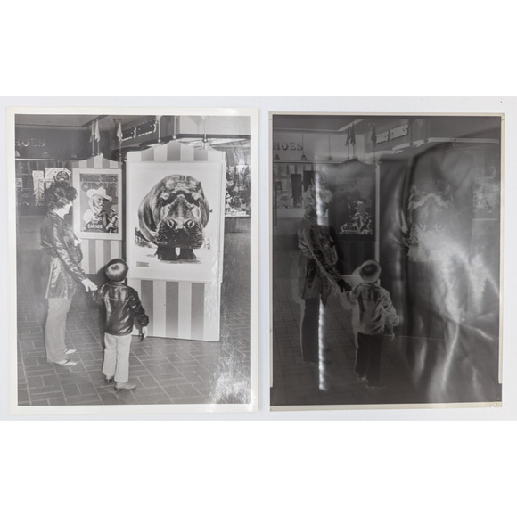 The Wonderful World Of the Circus Ephemera Photos Brochure Negatives Lot - Picture 5 of 14